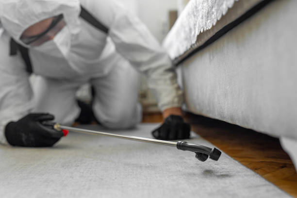 Professional Bed Bug Control technician working in Baldwin, GA