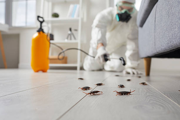 Trusted Rodent Control service in Baldwin, GA - Nex Pest Control