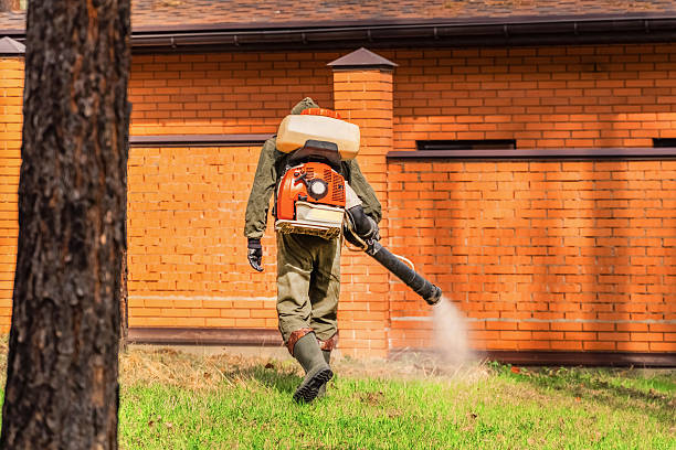 Trusted Termite Control service in Baldwin, GA - Nex Pest Control